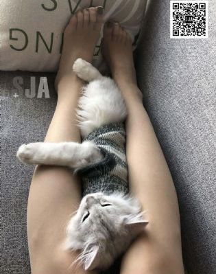 午夜dj视频在线观看免费大全_1080BD在线观看