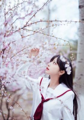 老狼信息电影的在线观看_BD免费观看